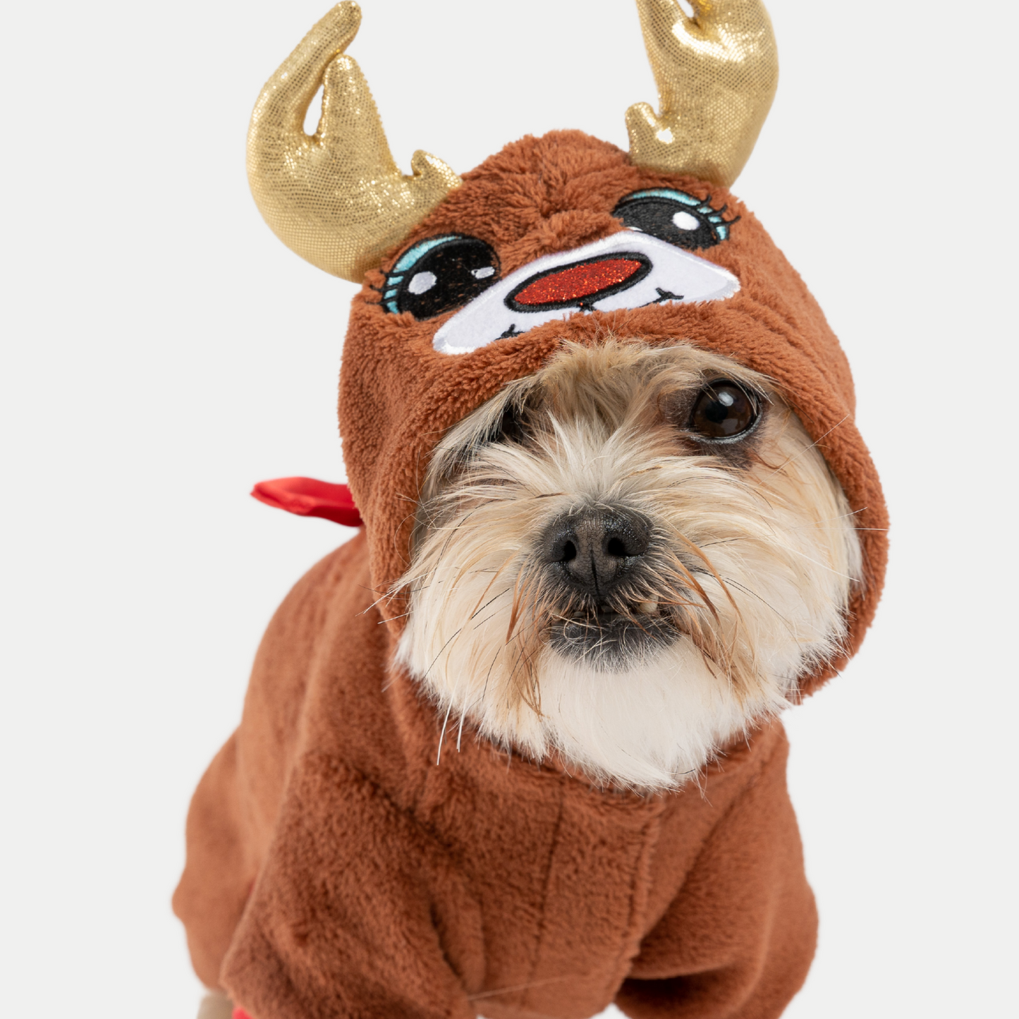 Reindeer Dog Pajama