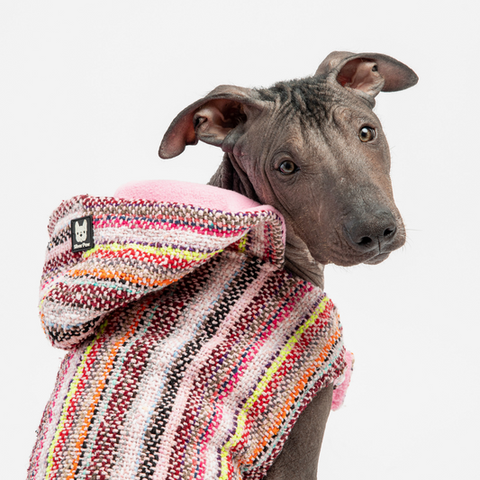 Waggy Dog Poncho - Pink