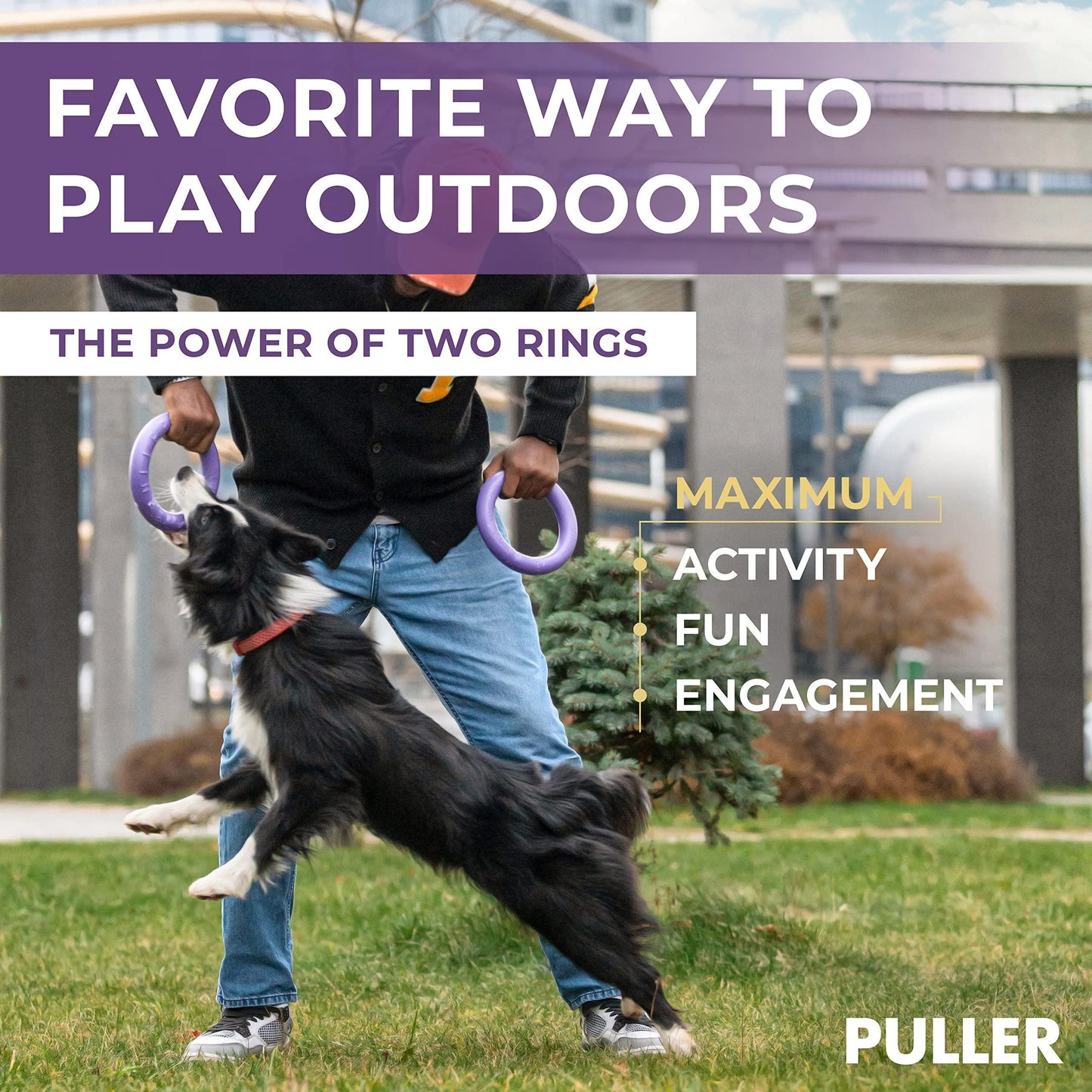 Outdoor Dog Ring Toy