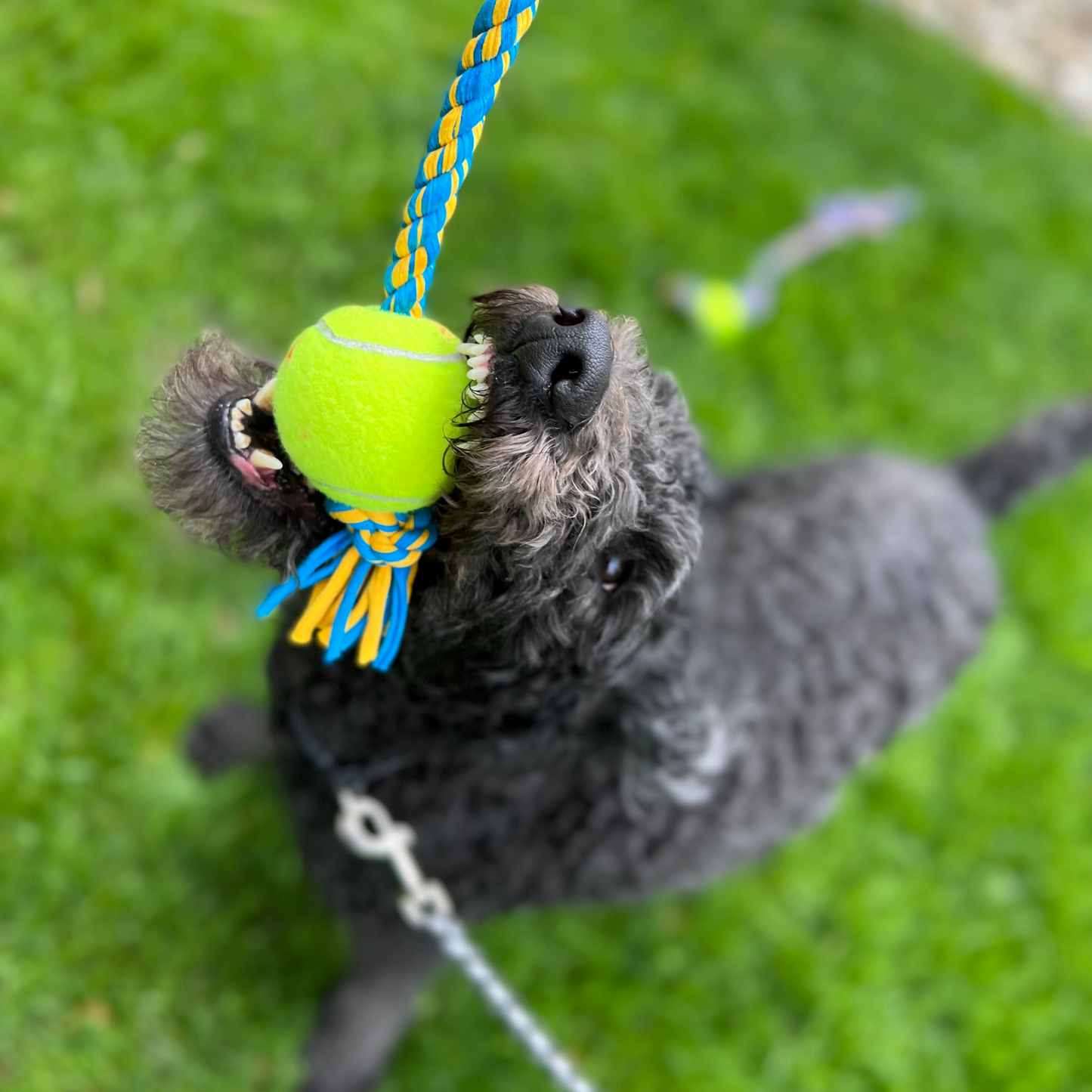 Large Upcycled Fabric Rope Dog Toy