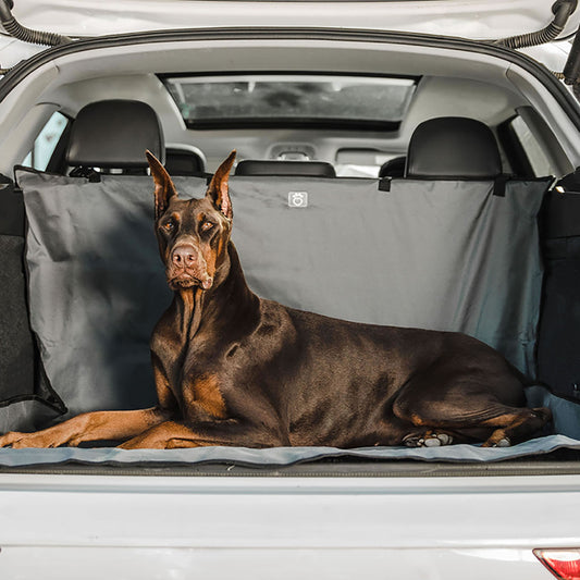 Dog Cargo Cover