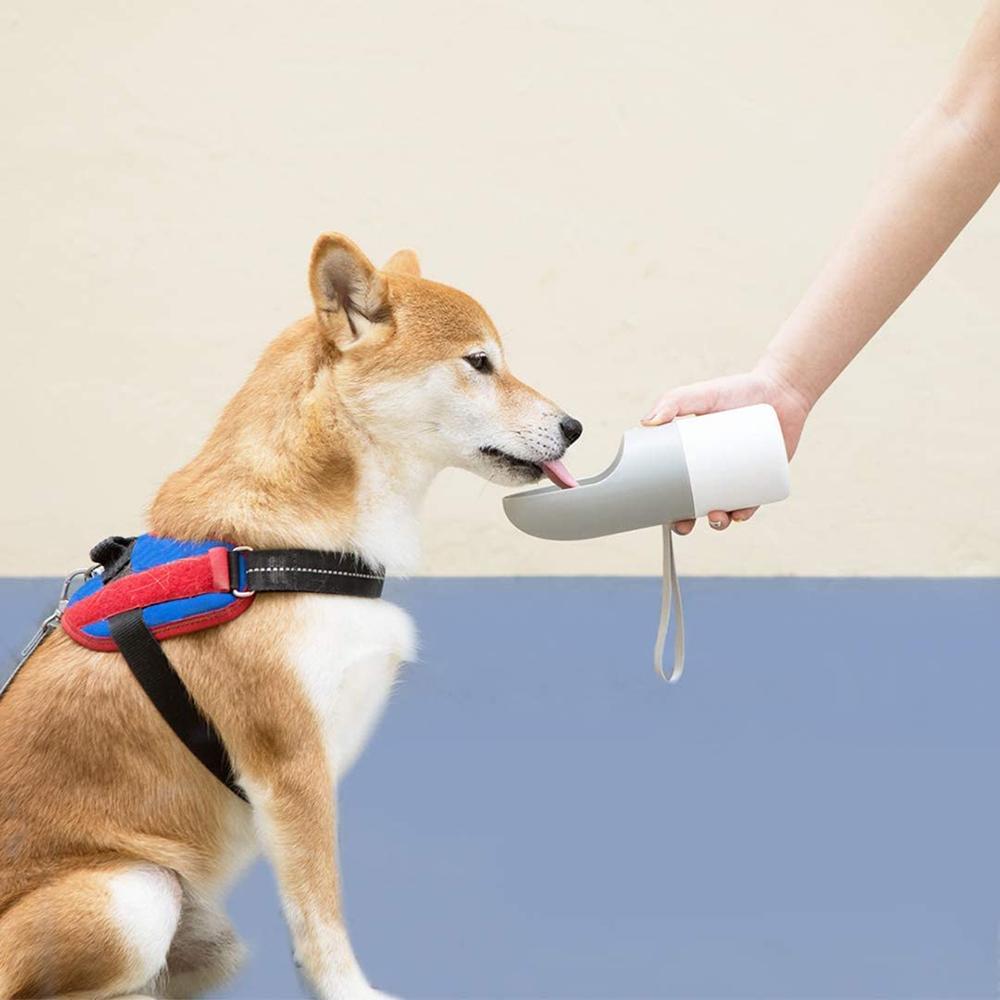 Electronic Insta-Feeding Bowl