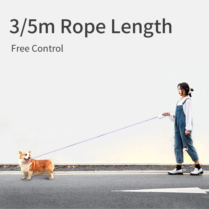 Automatic Retractable LED Dog Leash