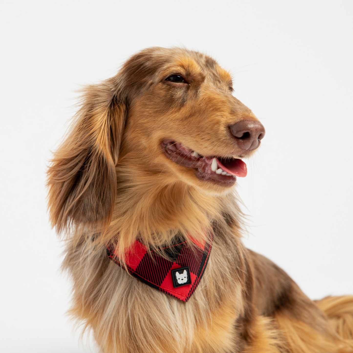 Waggy Bandana Dog Collar - Red Plaid