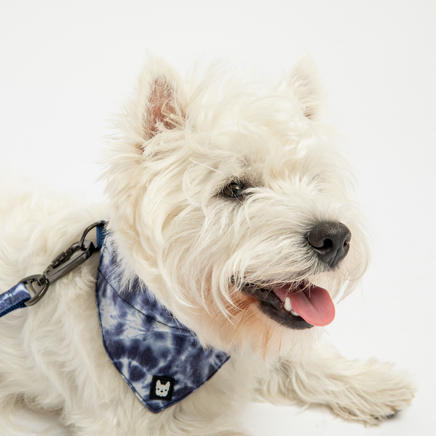 Waggy Dog Bandana Collar - Blue Tie Dye