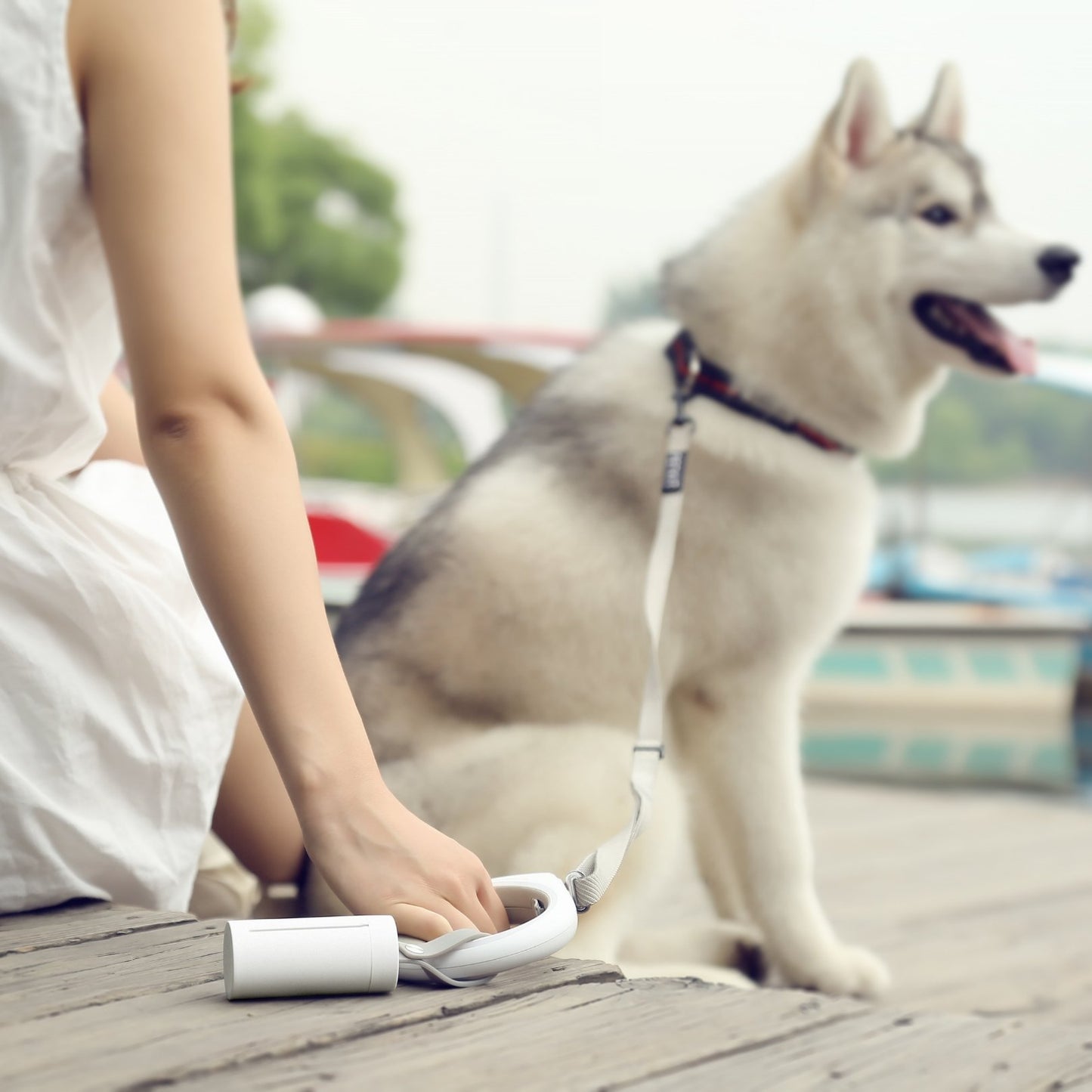 Waggy Waste Bag Dispenser