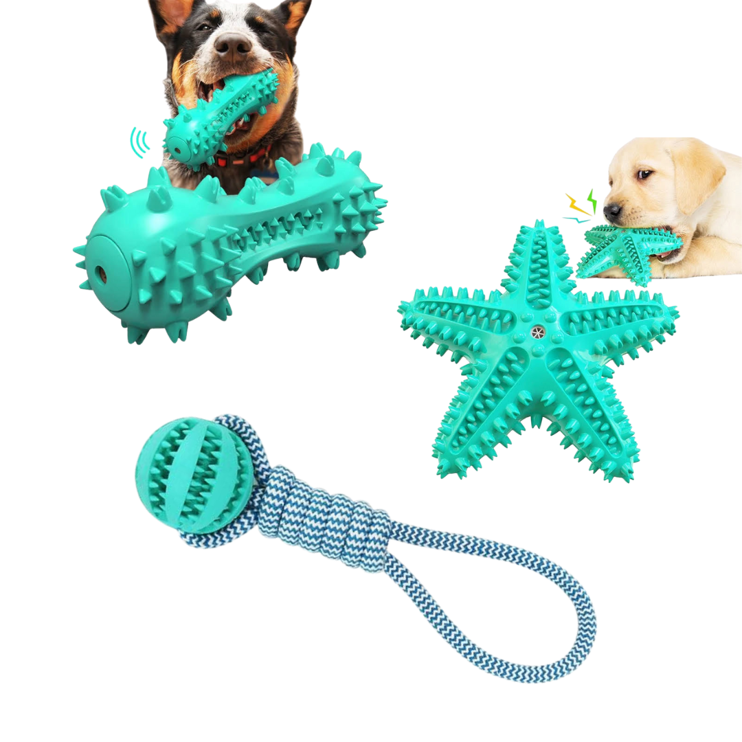 3 Pack Squeaky Toothbrush & Cotton Rope Ball Dog Toy