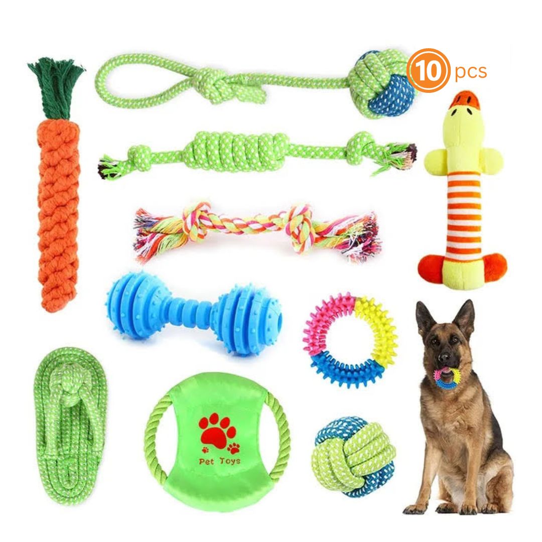 10 pcs Bite-Resistant molar Dog Toys