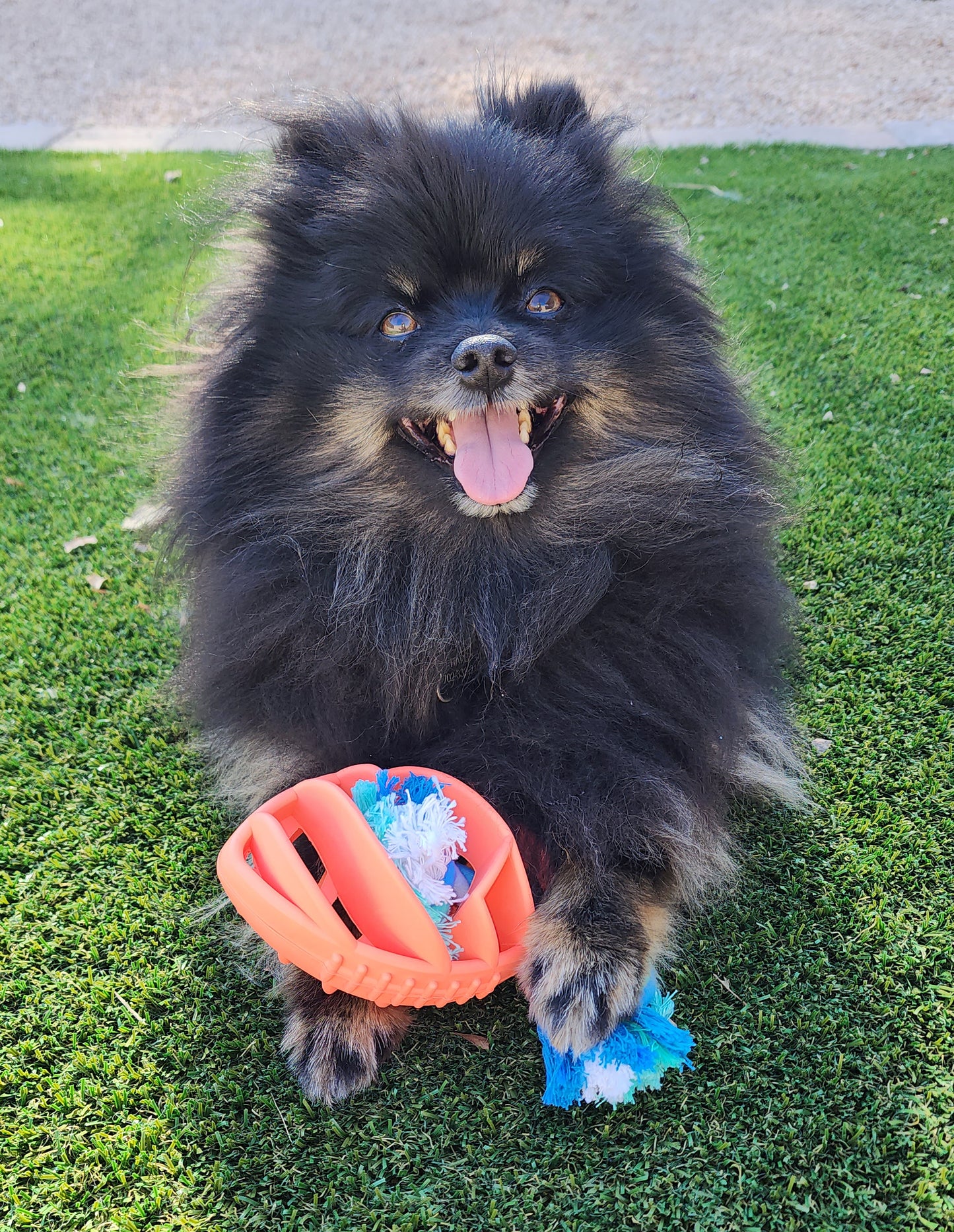 Rubber Football Dog Chew Toy with Tug Rope