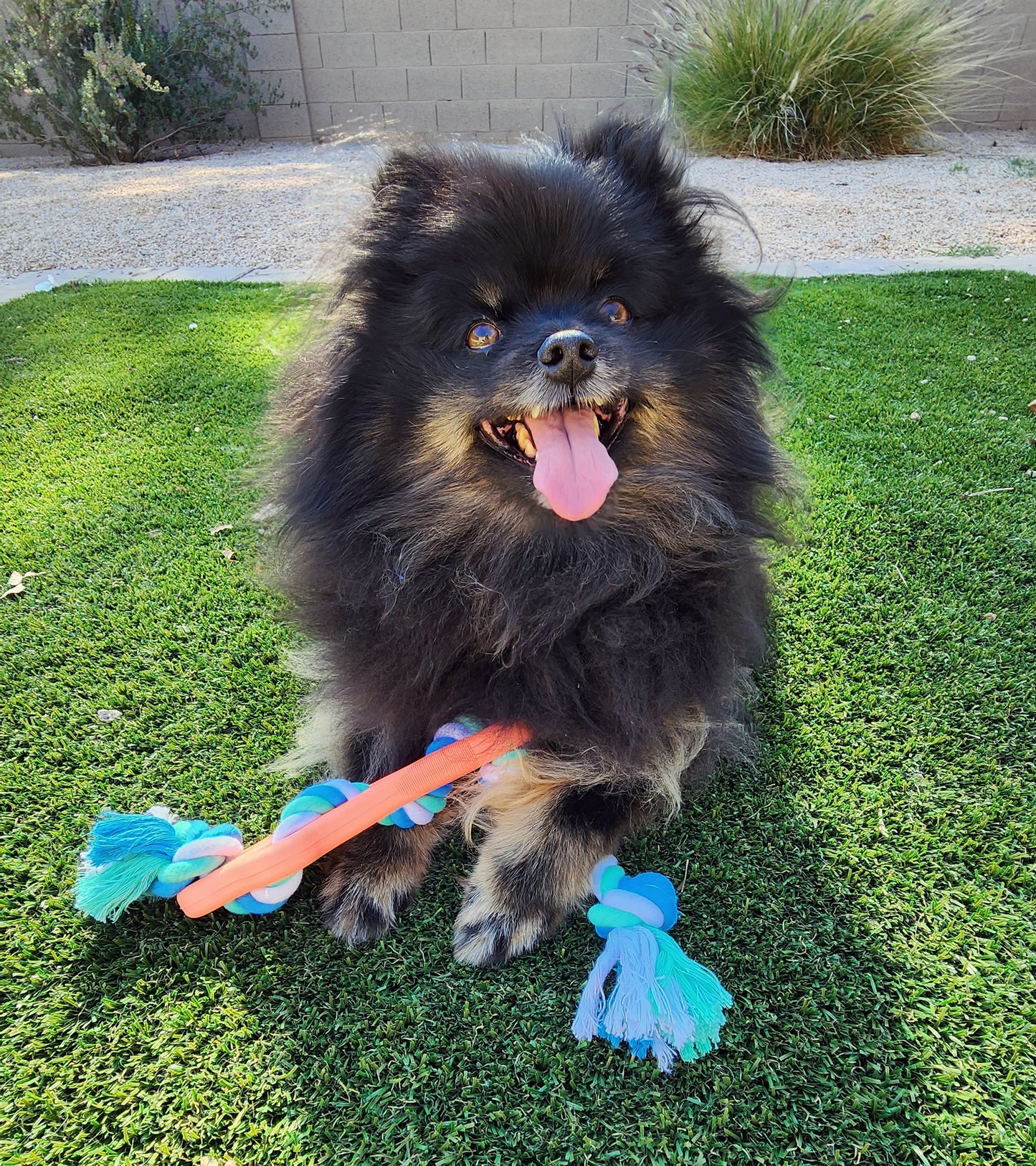 Rubber Bone Dog Chew Toy With Rope