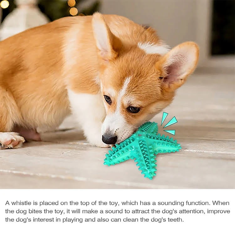 3 Pack Squeaky Toothbrush & Cotton Rope Ball Dog Toy