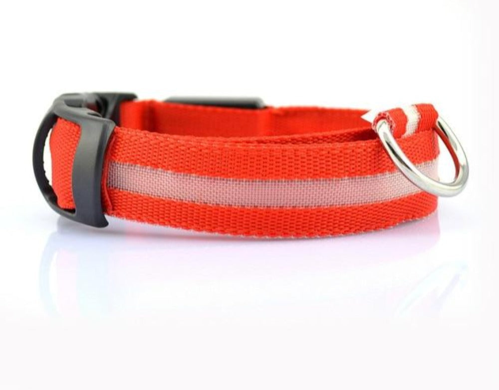 2 pcs Set Nylon LED Dog Collar