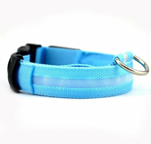 2 pcs Set Nylon LED Dog Collar