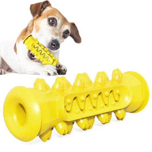 Prize Filled Chewing Dog Toy