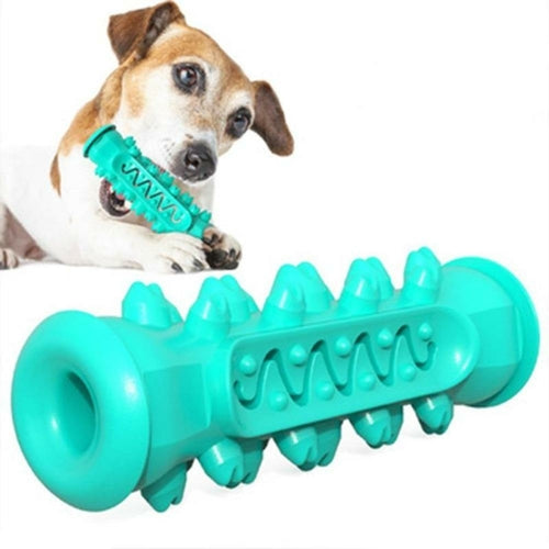 Prize Filled Chewing Dog Toy